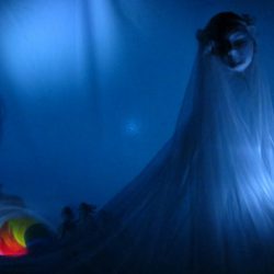 Hupilainen_Sammon-muruset