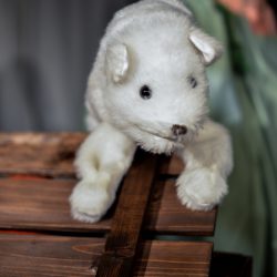 Lumottu metsämökki